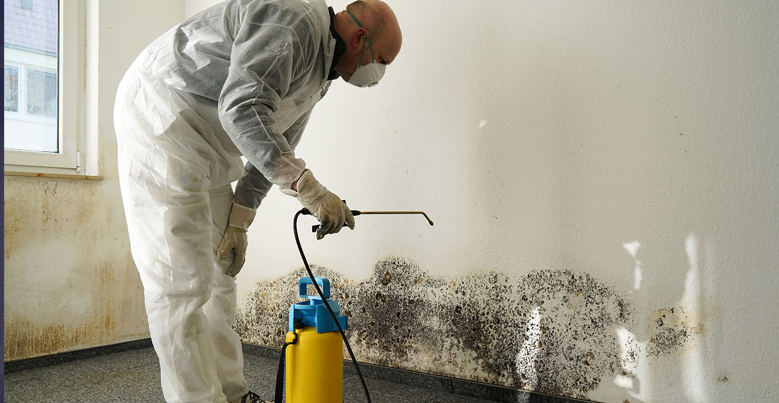 Utah Mold Damage Repair Service