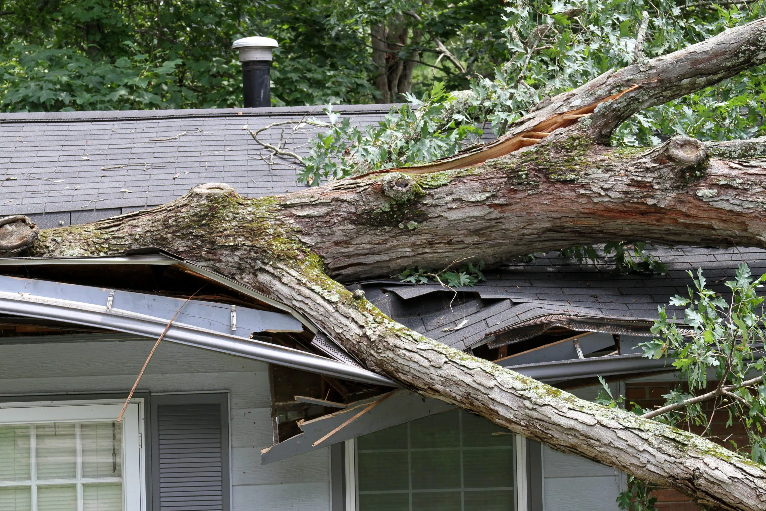 Utah Storm Damage Repair Company