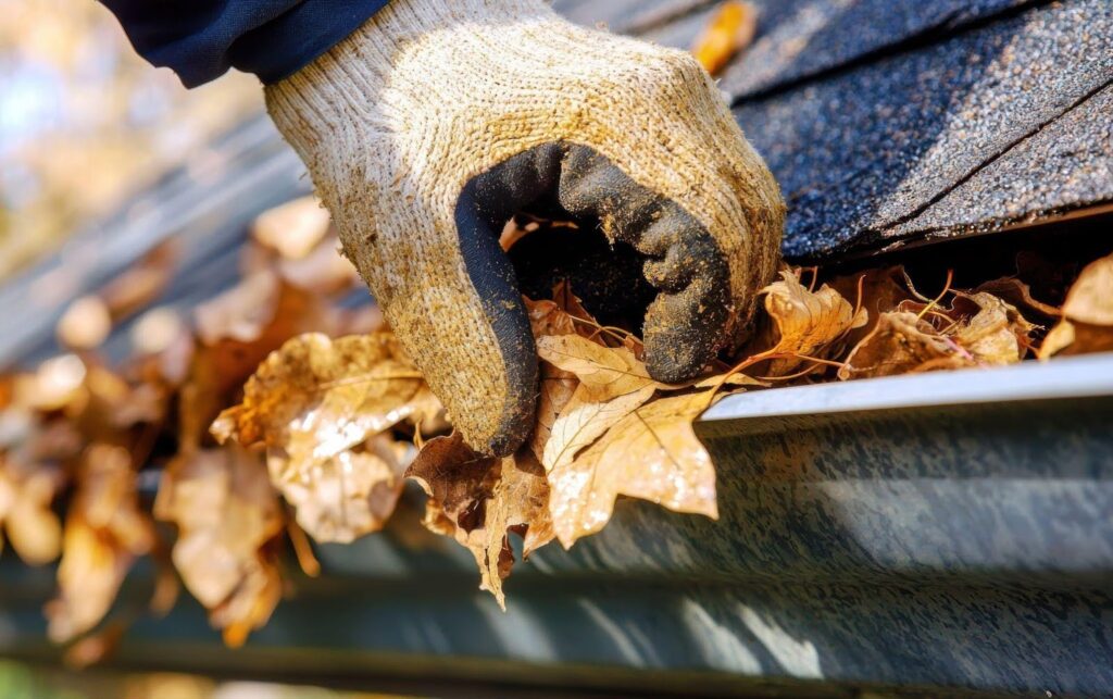 A person in gloves cleans leaves from a rain gutter, preventing water damage through proper gutter maintenance.