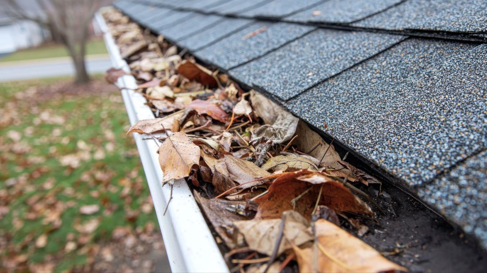 Professional gutter cleaning service in Maryland, preventing water damage and ensuring proper gutter maintenance.