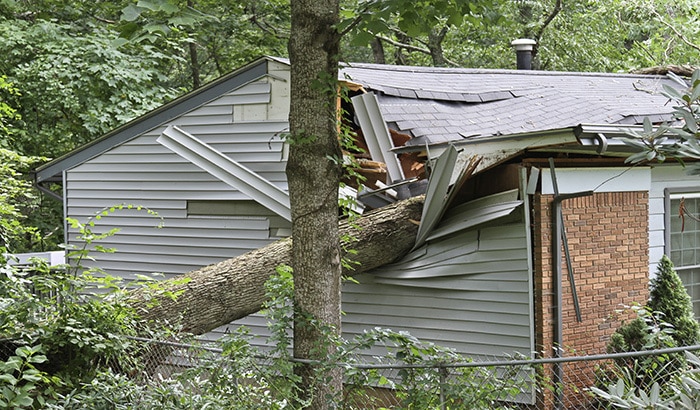 Storm Damage: How to Storm-Proof Your House?
