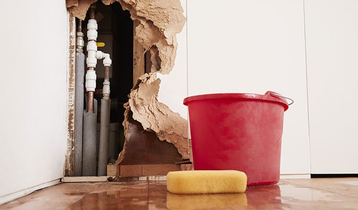 5 Tips To Prevent Water Damage