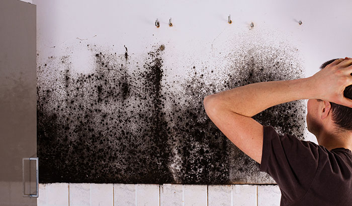 Mold Effects On Your Health