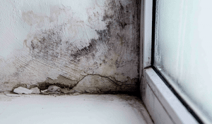How-to-Prevent-Mold-Growth-In-Winter