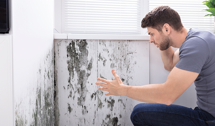 Signs You Have a Mold Problem