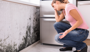 Health Effects of Mold