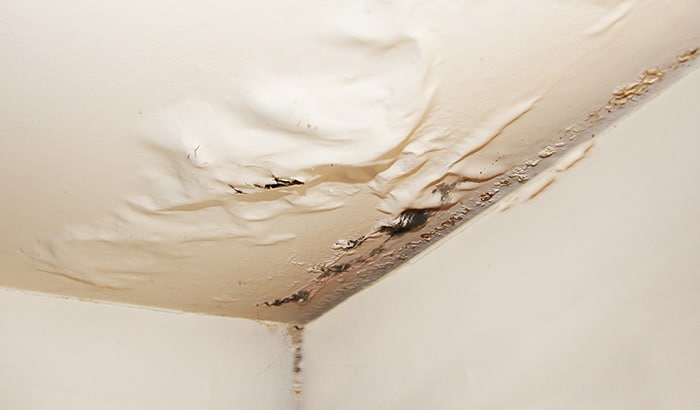 Here's What Happens If Water Damage Goes Untreated