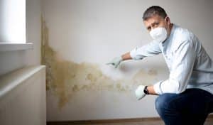 Five myths and facts about mold effects on your health