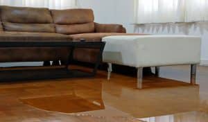 Can You Get Sick From Water Damage? What You Need to Know