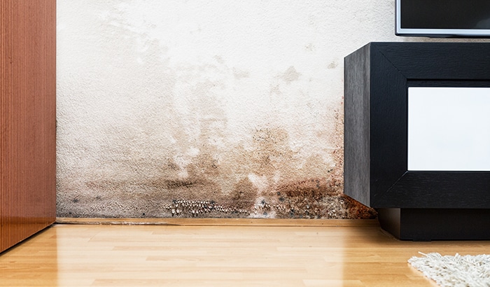 7 Reasons You Shouldn't Dry Out Water Damage On Your Own
