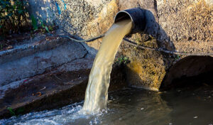 30 Things That Cause Sewage Damage and How to Avoid Them