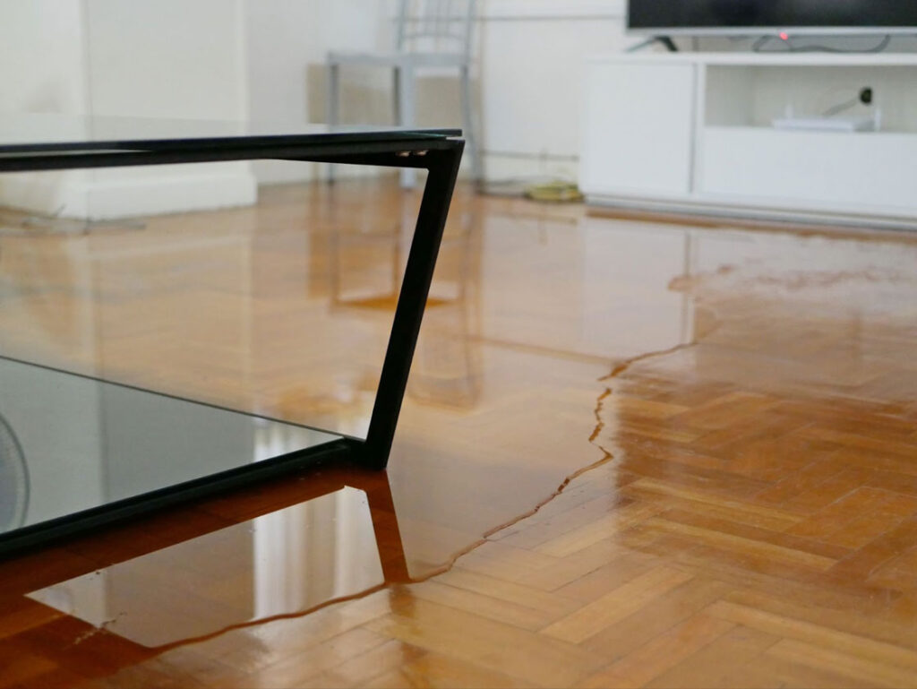 Glass coffee table on hardwood floor.

