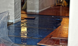 Water Damage Restoration Salt Lake City: Everything You Need to Know
