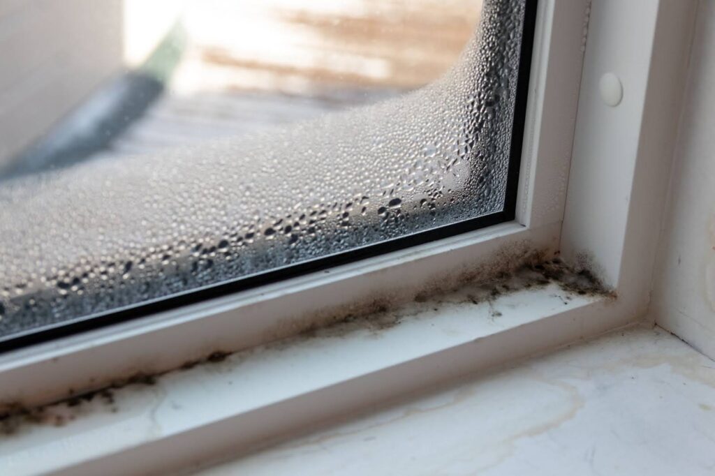 Causes of mold growth