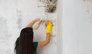 Mold in Unconventional Places: Surprising Hiding Spots in Your Home