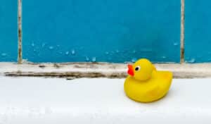 A Rubber Duck On A Water-filled Bathtub. Relevant To Mold Removal, Restoration, And Prevention
