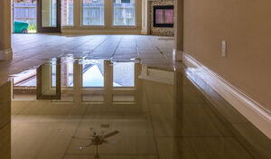 Long Term Water Damage Cleanup And Restoration Showing Water Damage Effects