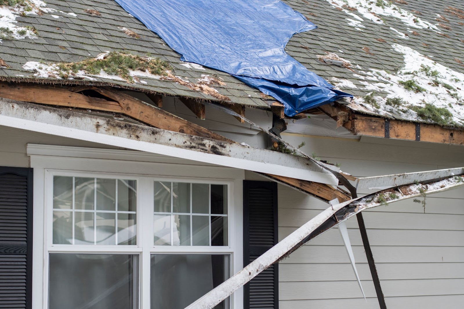 A damaged roof covered with a blue tarp, undergoing cleanup and total restoration after storm damage.