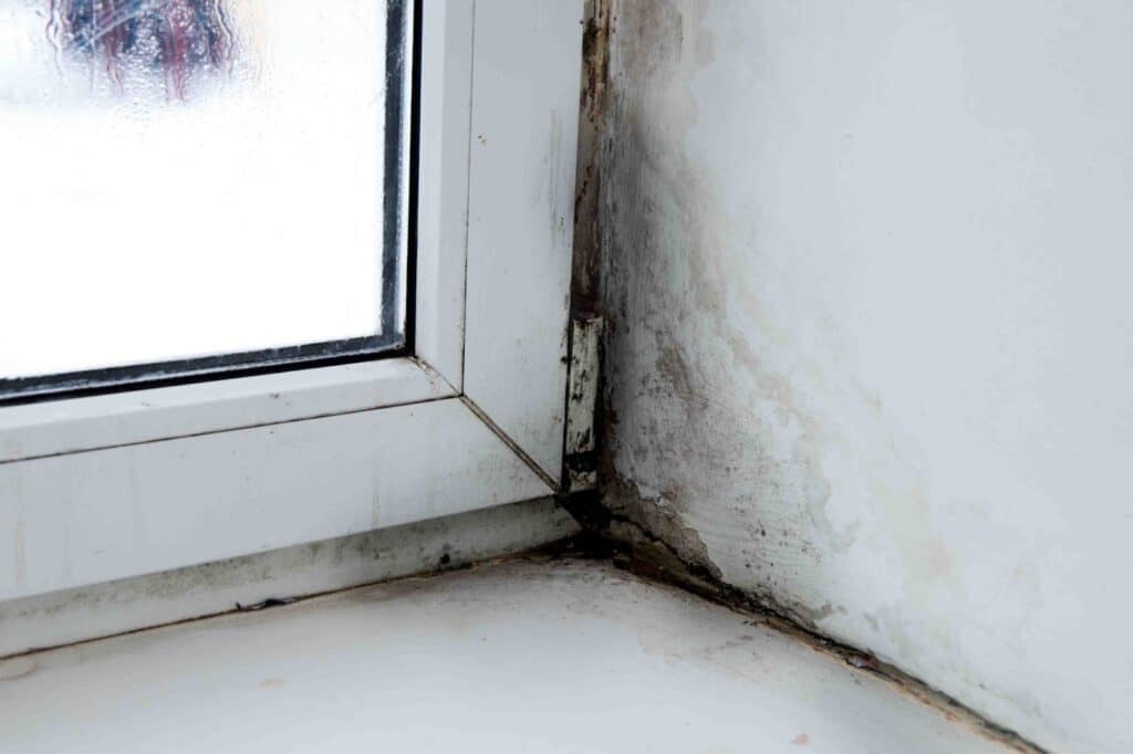 Moldy walls and window sill in a room, potential health hazard, may require professional black mold removal.
