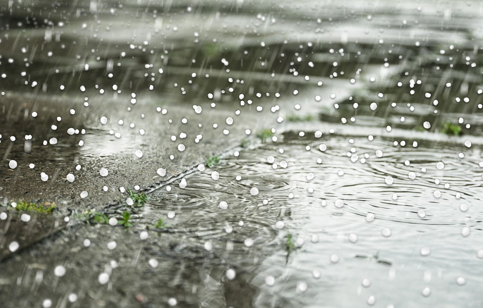 Rainy day with raindrops on pavement, showcasing storm damage remediation and types of storm damage.