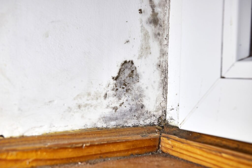 Room with window showing mold on wall. Beware of black mold symptoms on skin, health risks.