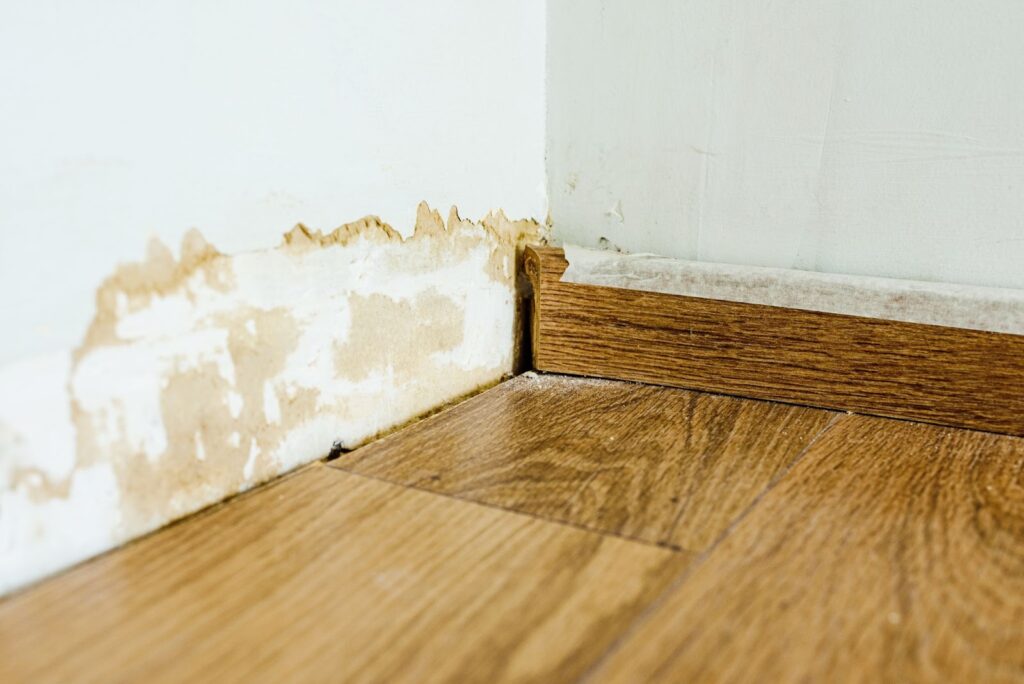 A room featuring a wooden floor and a moldy wall, highlighting the effects of water damage and potential health risks.