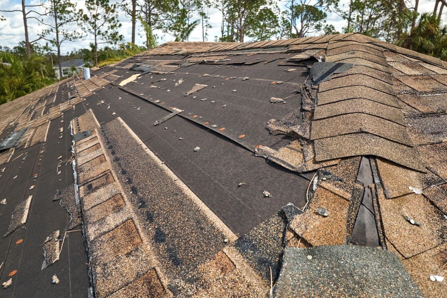 Damaged roof shingles showing signs of wind damage, indicating the need for repair and restoration efforts.