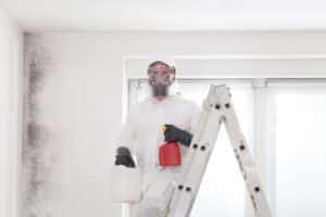 mold removal salt lake city