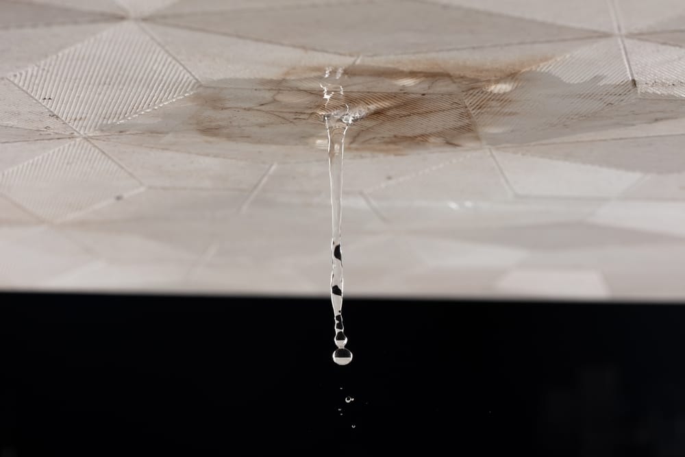 water damage cleanup salt lake city
