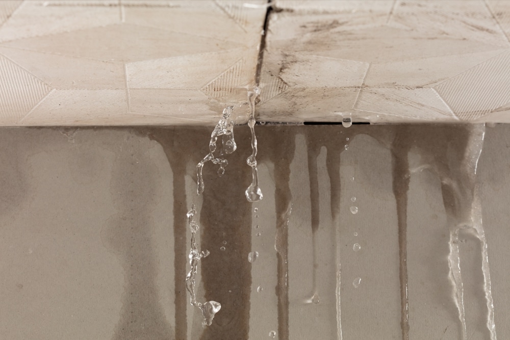 basement water damage salt lake city