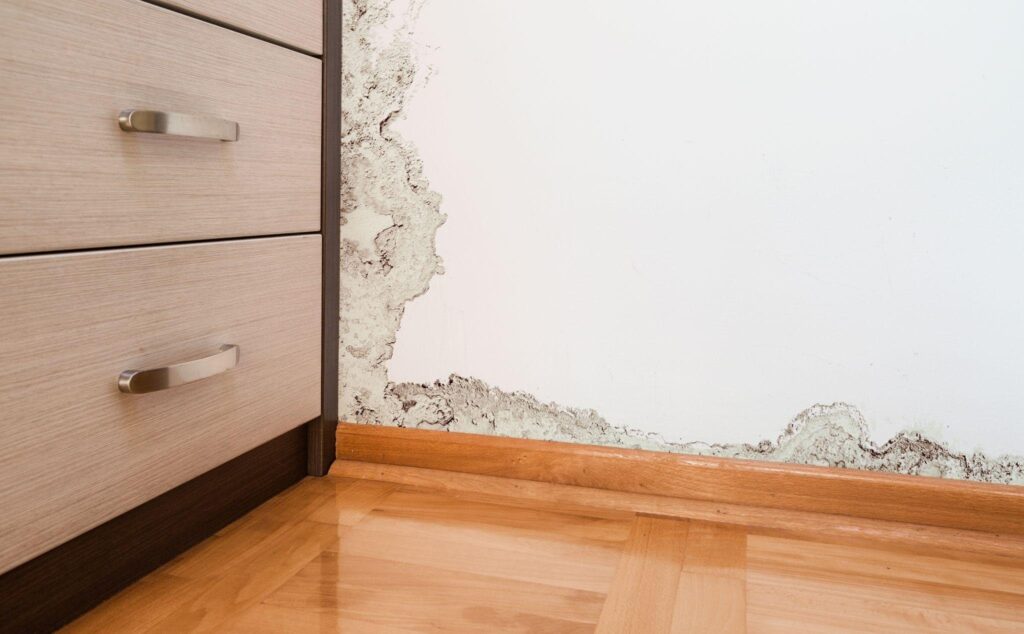 A room with a moldy wall and a wooden floor illustrating poor maintenance and potential health hazards