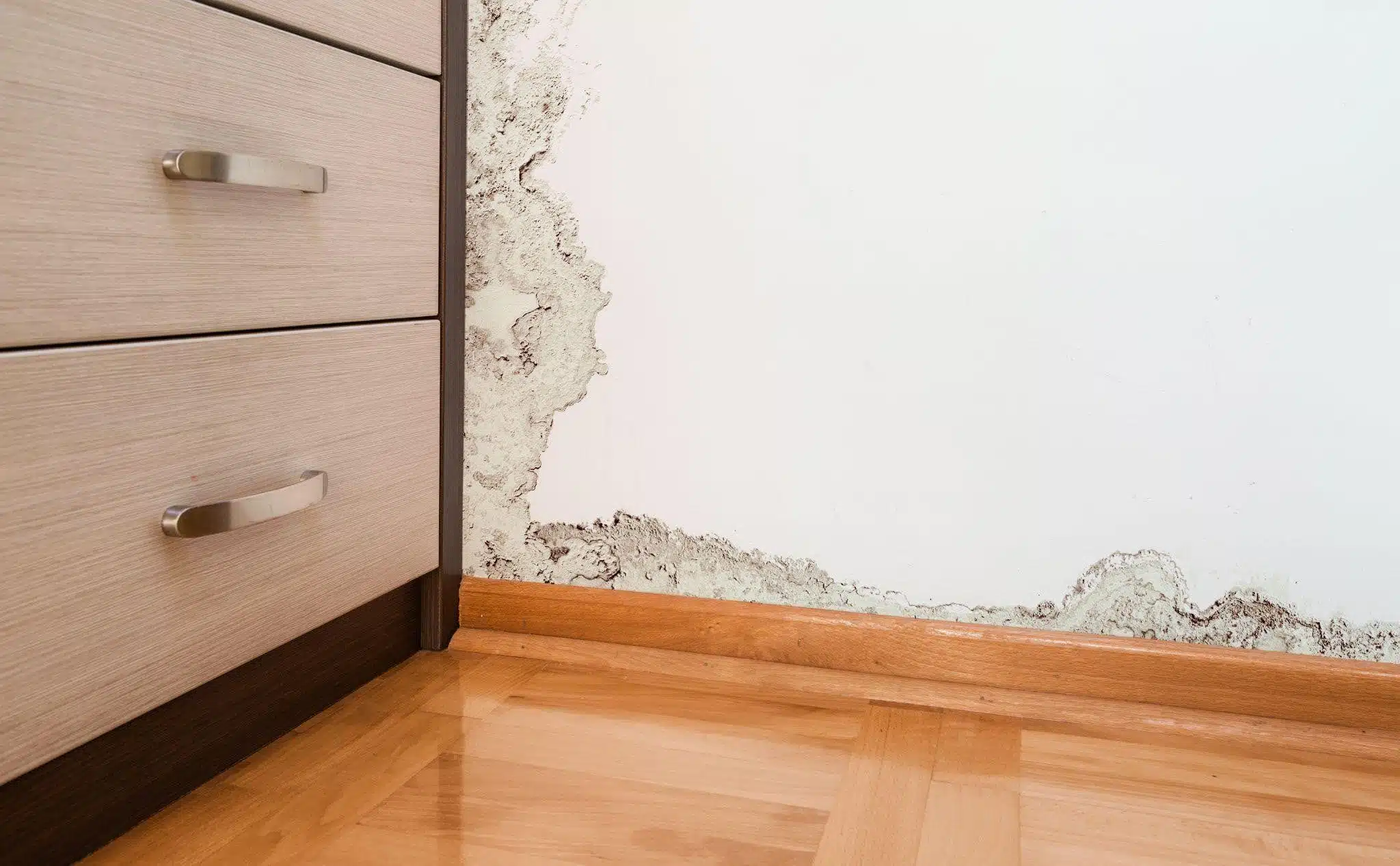 A room with a moldy wall and a wooden floor illustrating poor maintenance and potential health hazards