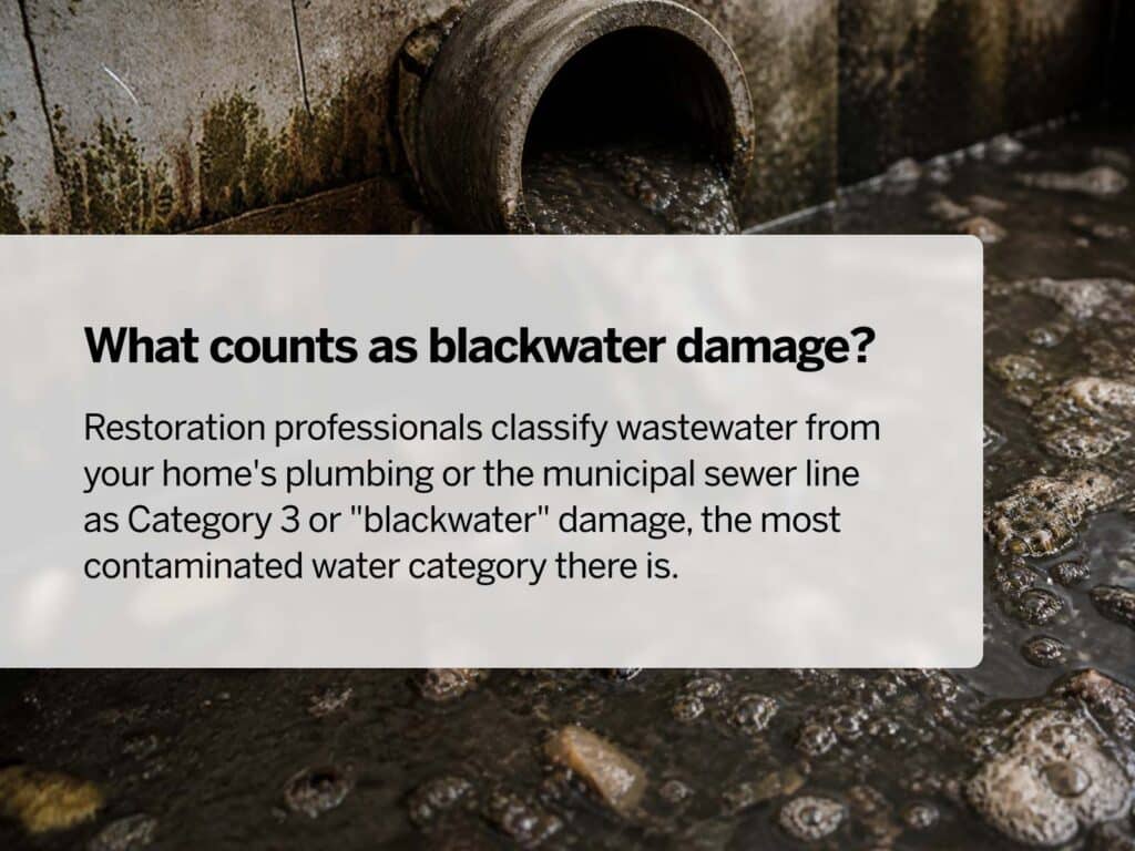 Infographic defining blackwater damage detailing sources like sewage toilet overflow and floodwaters